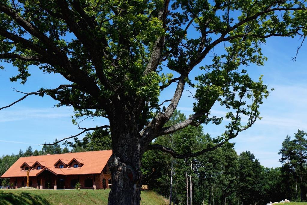 Dzukijos Dvaras Alytus Exterior foto
